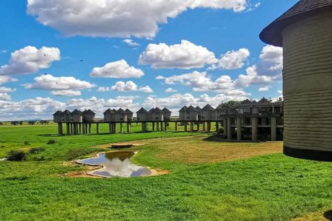 3-Day Safari in Tsavo East, Ngutuni, & Salt Lick – Big Five & Sunset Views 3-Day Safari in Tsavo East, Ngutuni & Salt Lick – Big Five & Sunset Views