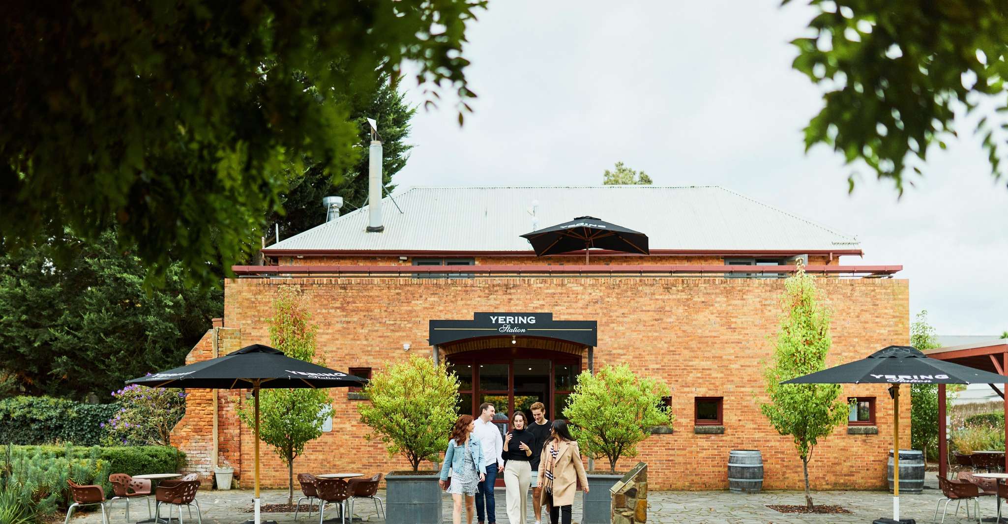 From Melbourne: Yarra Valley Chandon Cheese & Kangaroos Tour photo 11