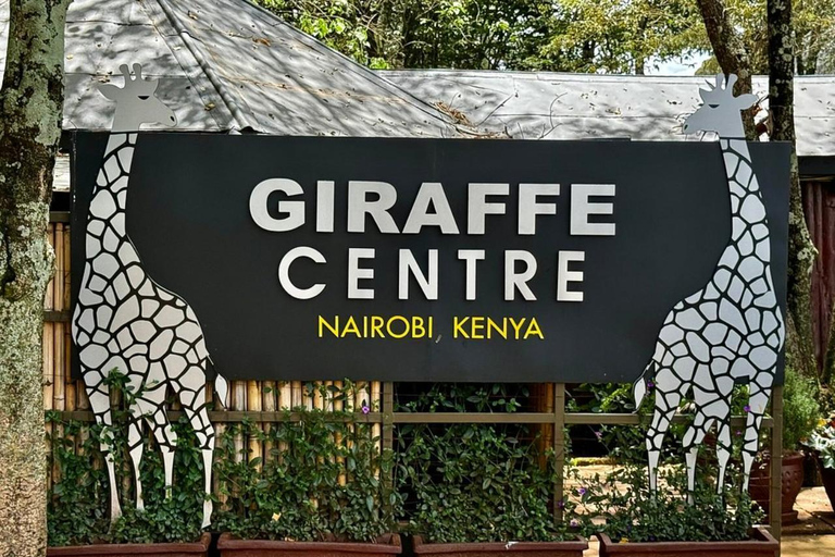 Langata: Rare Rothschild Giraffes Feeding Experience