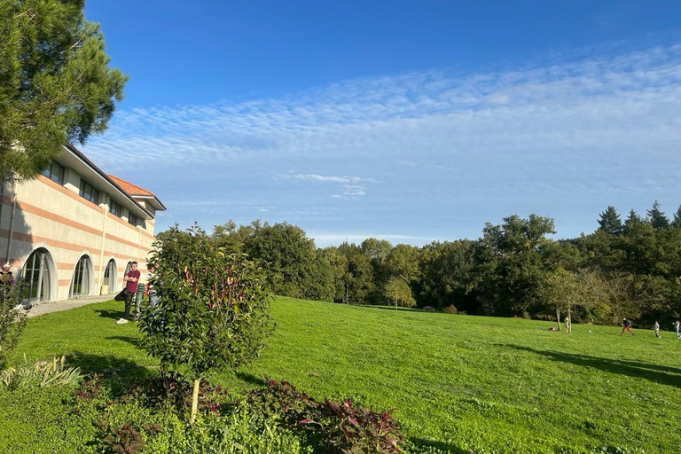 English-Assisted Loire Day: Clisson, Nantes & Trentemoult