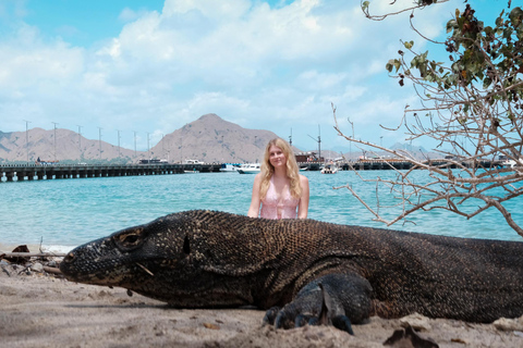 4-Day Lombok to Komodo Social Sailing Trip with Photographer