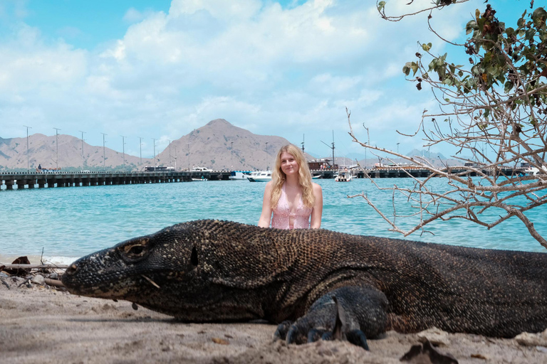 4-Day Lombok to Komodo Social Sailing Trip with Photographer