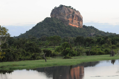 Sigiriya Treehouse Adventure – 2 Days 1 Night from Colombo