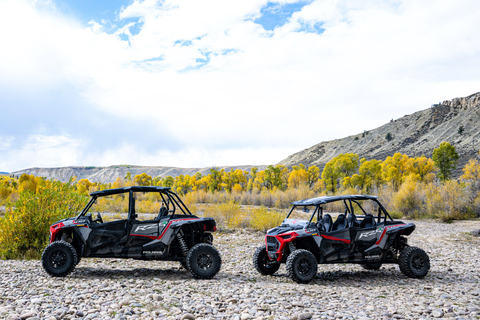 Jackson Hole: Aluguer de veículos side-by-side com capacete e óculos de proteçãoJackson Hole: Aluguer de veículo side-by-side de 2 lugares com capacete e óculos de proteção