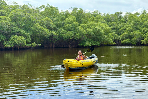 Fort Lauderdale: Kayak & Paddleboard Mangroves Eco Adventure