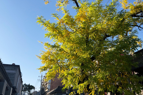 Beijing:3Hour Feng Shui Tour Seeking Good Fortune in Hutongs