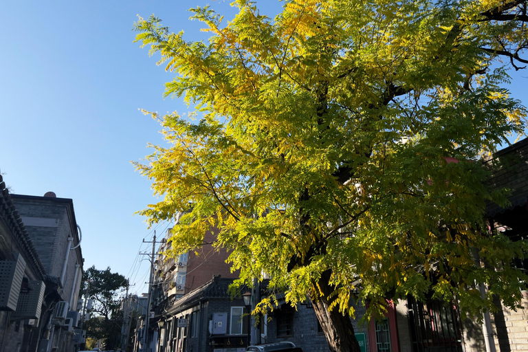 Beijing:3Hour Feng Shui Tour Seeking Good Fortune in Hutongs