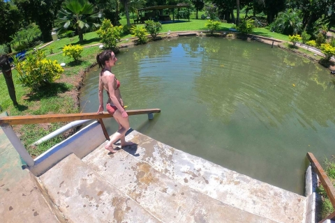 "Private Tour : Fijian Food, Mud Pools & Massages" "Aquatic Bliss: Fijian Food, Mud Pools & Massages"