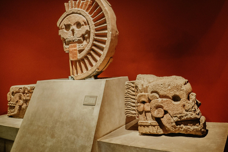 Tour privato guidato del Museo di Antropologia - I più quotati