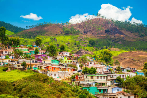 Kerala: Kochi, Munnar, Alleppey & Trivandrum Multi-Day Tour From Kochi: 7 Days Private Tour (All Inclusive)