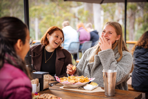Huon Valley: Tahune Adventures Airwalk Site Entry Ticket