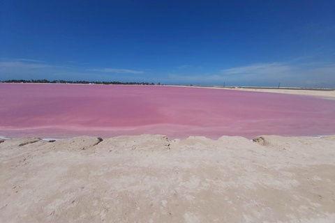 Rio Lagartos et Las Coloradas : EcoSafari Flamingo DeluxRio Lagartos et Las Coloradas : EcoSafari Flamingo Deluxe