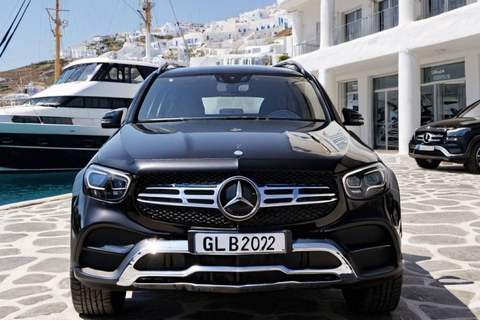 Small Group Mykonos Tour for Cruise Passengers (Port pickup)