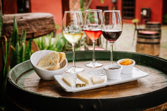 Visit Tenerife: Guided Tour at Casa del Vino & Wine Tasting in La Orotava