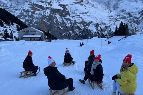 Interlaken: Sunset Sledding Adventure & Swiss Cheese Fondue Interlaken: Sunset Sledding & Fondue Dinner in Mürren