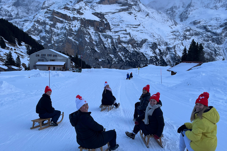 Interlaken: Sunset Sledding Adventure & Swiss Cheese Fondue Interlaken: Sunset Sledding & Fondue Dinner in Mürren