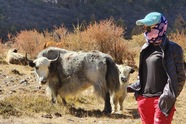 Journey Through Langtang: A 6-Day Trek with Meals