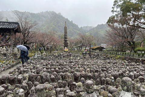 Visite privée de Kyoto en voiture avec guide japonais&amp;local