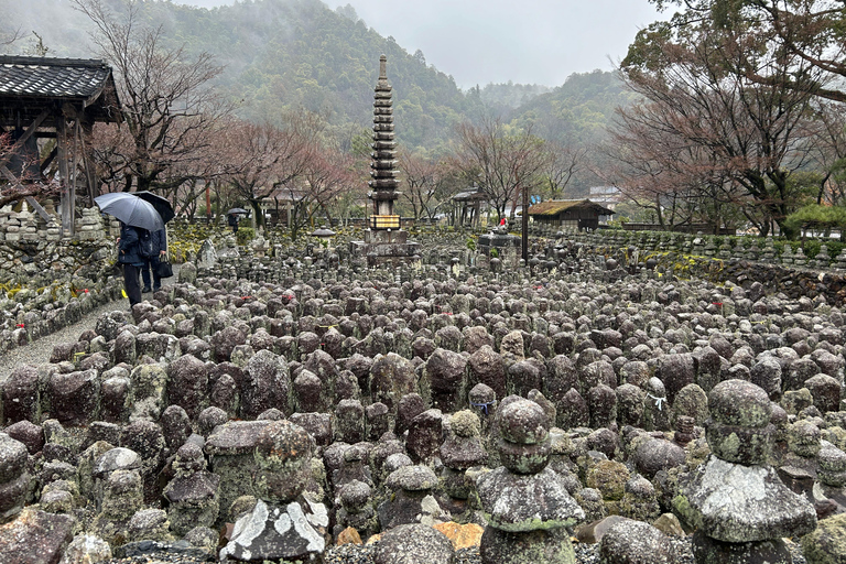 Tour particular de carro em Kyoto com guia japonês e local