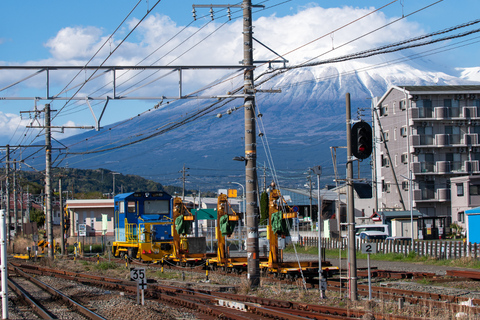 Tokyo: Mount Fuji Private Customizable Tour In Luxury Van