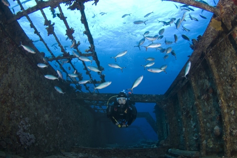 Plongée sous-marine à Colombo