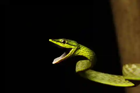 Panamá; San Blas Dos días en la selva todo incluido