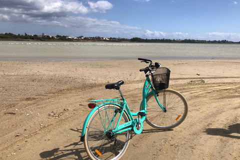 Larnaca: Salt Lake & Cultural Highlights Guided Bike Tour