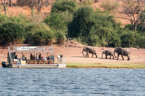 From Victoria Falls: 3 hour Chobe River Sunset Cruise