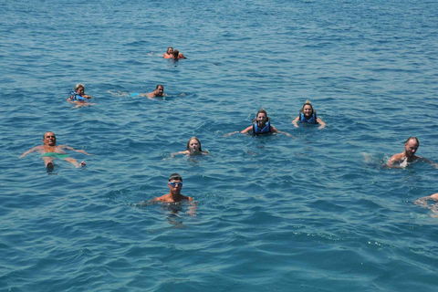 Side: Dolphin Island Boat Trip w/Unlimited Soft Drinks