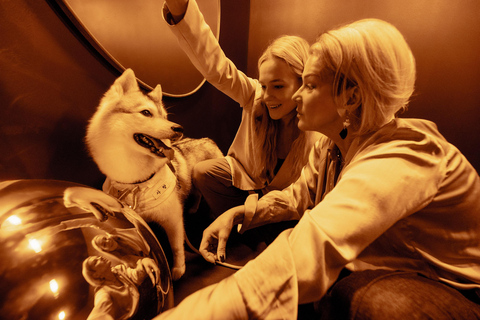 Tallin: Museum of Illusions - Entry Ticket