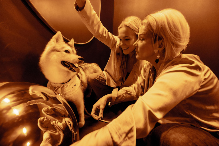 Tallin: Museum of Illusions - Entry Ticket