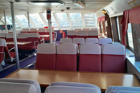 Tromsø: Responsible Whale Watching Cruise Aboard MS Alba