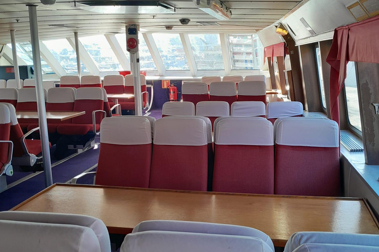 Tromsø: Responsible Whale Watching Cruise Aboard MS Alba