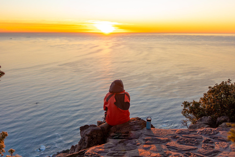 Cape Town: Lion's Head Hike with a Content Creator