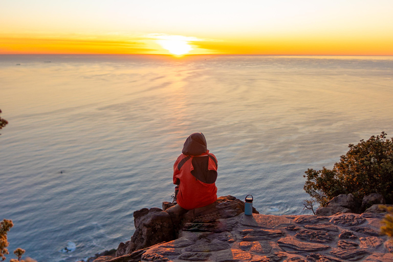 Cape Town: Lion's Head Hike with a Content Creator