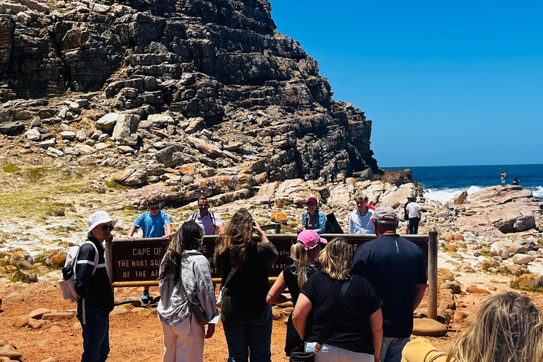 Robben Island, Penguins & Cape of Good Hope Adventure
