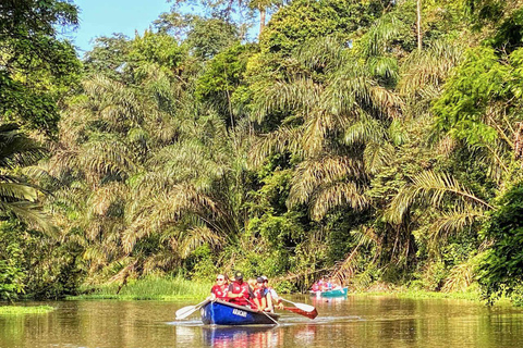 COSTA RICA:UPPTÄCK COSTARICAS VILDA DJUR-STRAND &amp; SKOG 2VECKOR