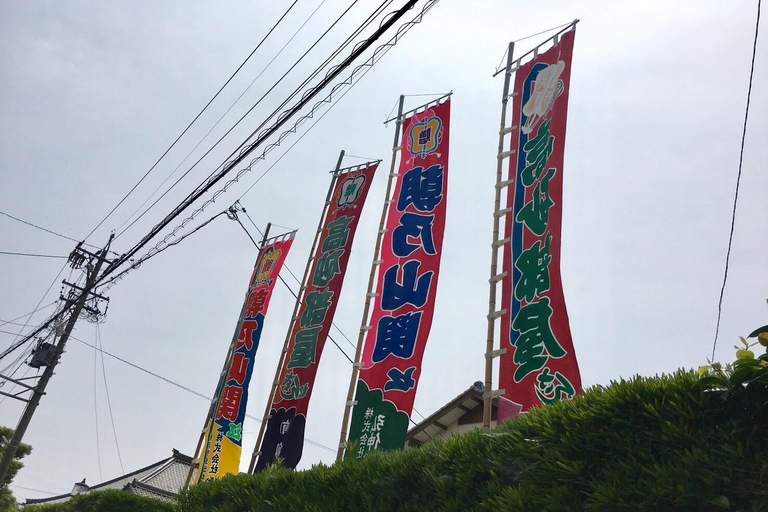 Nagoya: Besuch des morgendlichen Sumo-Trainings mit englischem Guide