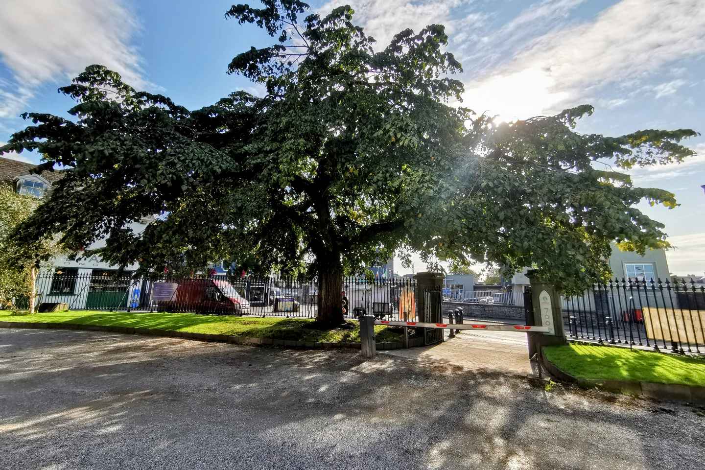 Galway City: Evening Guided Walking Tour of Galway City