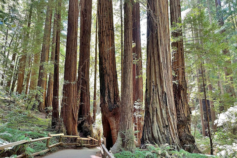 San Francisco: Muir Woods, Sausalito, & Battery Spencer Tour Tour W/Pick-up