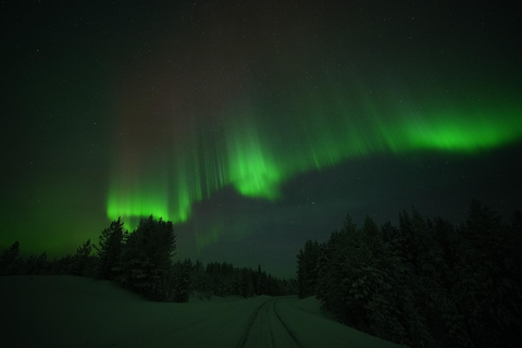 Rovaniemi: Coffee under Northern Lights & Professional Photo