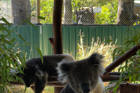 Private Swan Valley Wine Tour | Boutique Wineries