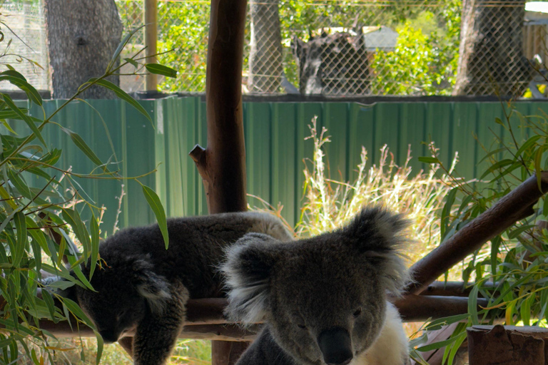 Private Swan Valley Wine Tour | Boutique Wineries