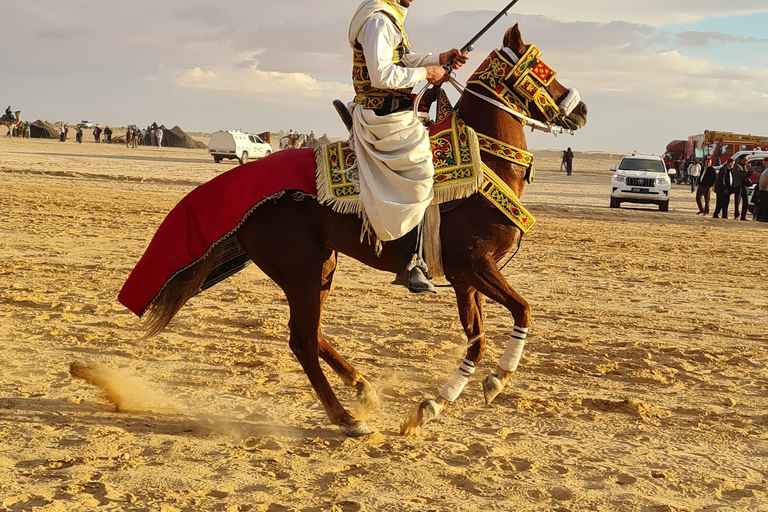 杰尔巴岛幻想曲：泻湖2小时传统马术表演