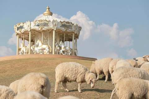 Chiang Mai: Chiang Rai Temples & Akha FarmVille Day Trip