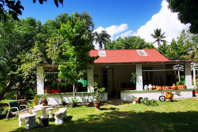 Puerto Plata: Valle Taíno y Experiencia de Sabores Dominicanos