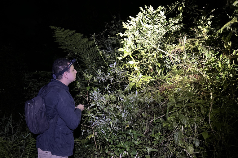 São Paulo: Forest Night Walk Tour with a Biologist