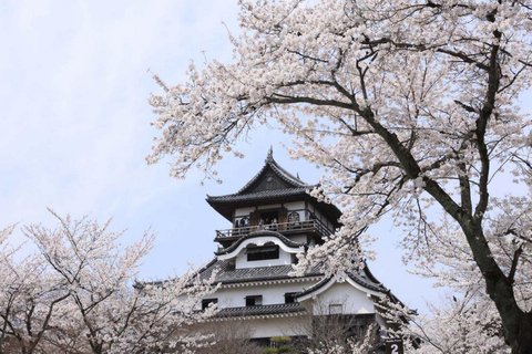 Uit Nagoya: Samuraizwaarden en het oudste kasteel van JapanVertrek vanaf Nagoya Station - Finish op Takayama Station