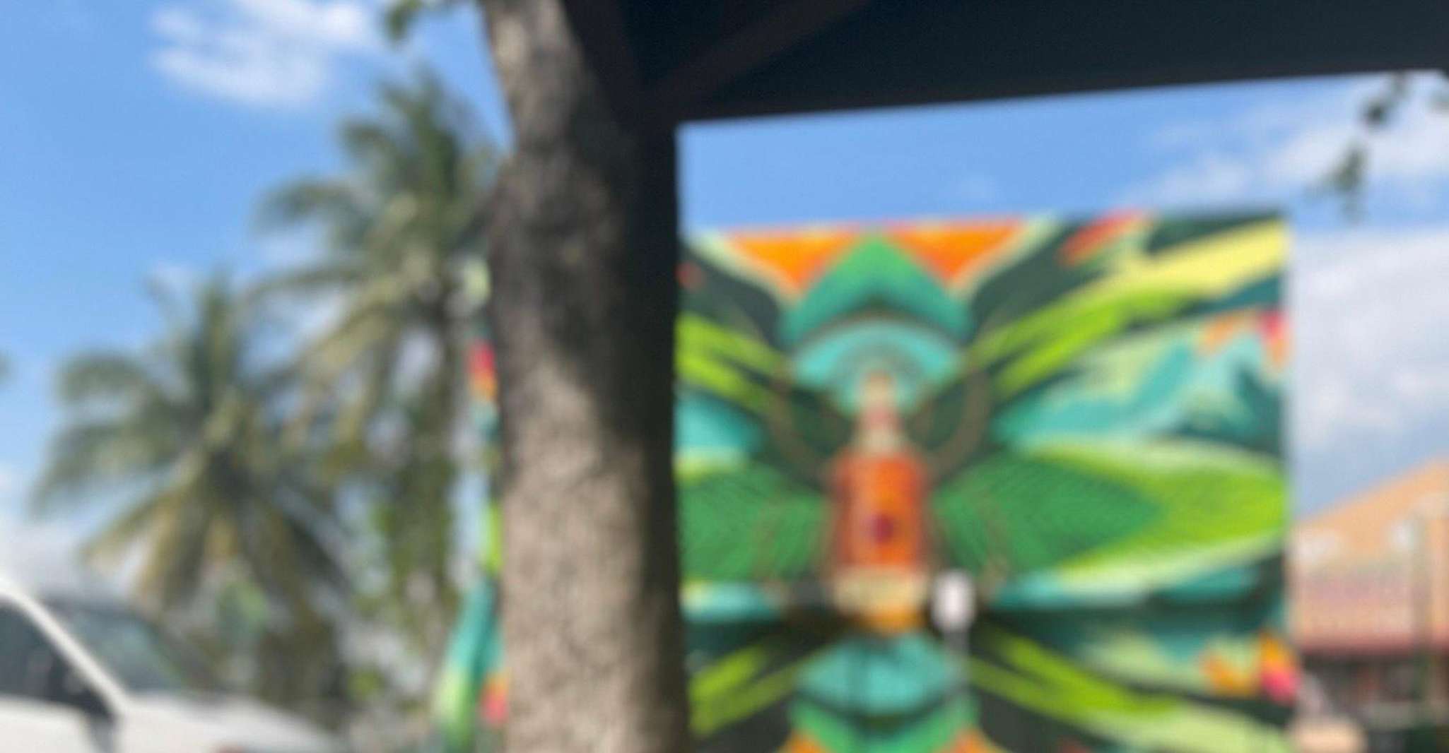 VIP Walking Tour of Little Havana - Housity