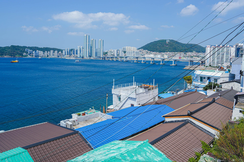 Busan: Power Walk Tour with a Local Mate